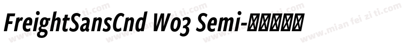 FreightSansCnd W03 Semi字体转换